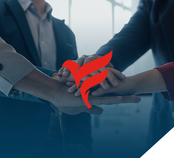 FESA - Construimos confianza, lideramos proyectos